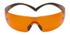 Safety Glasses - 1746013 - RS Components, Ltd.