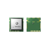 RF and Wireless - RF Transceiver Modules and Modems - SIM33EAU - Shenzhen Shengyu Electronics Technology Limited
