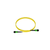Fiber Optic Cables - F9TRL5N5NANM015-ND - DigiKey
