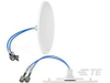 Antennas - CFD69383P-200NF - TE Connectivity