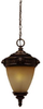 75237-14 Exterior -Hanging - 704810 - Capital Lighting, Inc.