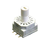 DIP Switches - 2449-RD10AB16CGRTR-ND - DigiKey