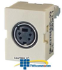 Legrand - Ortronics TracJack Module, Mini Din, SVHS, 110.. - OR-63700025 - TelephoneStuff.com