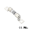 EV/HEV Protection Fuses - EV/HEV Protection Fuses - VAH2S -  - SHENZHEN VICTORS INDUSTRIAL CO., LTD.