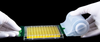 SealPro Pack - BYSP PK 500 - diaago