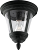 Exterior -Ceiling Mount - 61528 - Light Center (The)