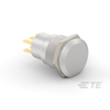 Pushbutton Switches - 450-2989-ND - DigiKey