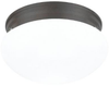 Flush Mounts-Bowl Style - 47320 - Light Center (The)