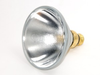 90 Watt, 120 Volt Halogen PAR38 Spot - FAN3048 - bulbs.com