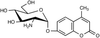 4-Methylumbelliferyl 2-Amino-2-deoxy-α-D-glucopyranos.. - 12301 - Medical Isotopes, Inc.