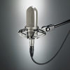 Bidirectional Ribbon Microphone - AT4080 - Visual Sound, Inc.