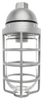 Vaporproof Incandescent Fixture with Globe and Guard - VP100DG - RAB Lighting