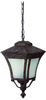 Exterior -Hanging - 313084 - Light Center (The)