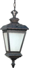 Exterior -Hanging - 9859 - Light Center (The)
