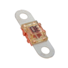 Fuses - 153.5631.5302-ND - DigiKey