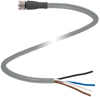 Female connector - V31-GM-2M-PVC - Pepperl+Fuchs SE
