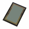 Discrete Semiconductor Products - Diodes - Rectifiers - CPW3-1700-S025B-WP - Acme Chip Technology Co., Limited