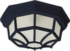 Exterior -Ceiling Mount - 85824 - Light Center (The)