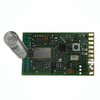 RF Transceiver Modules - DM1810-434MN - 812418-DM1810-434MN - Win Source Electronics