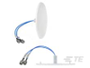 Antennas - CFD69716P1-B30D43F - TE Connectivity