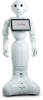 Humanoid Robot -- Pepper - Image