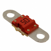 Fuses - 142.5631.5502 - 809641-142.5631.5502 - Win Source Electronics