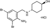 Ambroxol HCl - 6327 - Medical Isotopes, Inc.