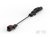 Wire to Board Cables - 2626096 - RS Components, Ltd.