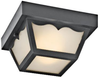 11027BK Exterior -Ceiling Mount - 698814 - Capital Lighting, Inc.