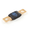 Eaton's Bussmann Series AMG-200 High Amp Fuse, 200A, 32VDC, Bolt-Down Design -- 46274
