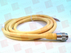 QD Cable/Cord Set - 3649890 - Radwell International