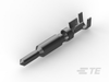 Connector Contacts - 770007-1 - TE Connectivity