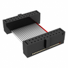 Rectangular Cable Assemblies - FFSD-10-D-31.00-01-N-RN1-ND - DigiKey