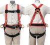 Safety Harness -- 87820 - Image