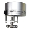 Electric Industrial Actuators, RCJ - Image