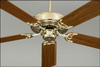 PFES52-BR Fans-Ceiling Fans - 699518 - Capital Lighting, Inc.
