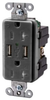 Combination Switch/Receptacle -- USB20X2GY - Image
