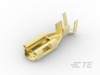 Quick Disconnects - 170456-1 - TE Connectivity