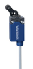 Intralogistics - Storage systems - Safe end position - PS116 angle roller lever K230 - PS116-Z02-L200-K230 - Image