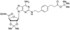 2-[[4-[2-(tert-Butoxycarbonyl)ethyl]phenylethyl]amino]2 - 21488 - Medical Isotopes, Inc.