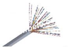 Unshielded Backbone Cable Category5 25,50,100 Pair -- FBCA05 - Image