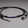 HAVEFlex 2Cond Microphone Cable XLRM-Trs 2' - 20L2001-002 - HAVE, Inc.