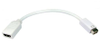 AV Adapters -- 2863357 - Image