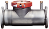 Stainless Steel Detector Check Valves -- Series 1000SS - Image