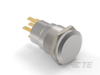 Push Button Switches -- 2-2213767-2 - Image