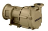 Single Stage Monoblock Liquid Ring Vacuum Pumps - DV0300B-K - DEKKER Vacuum Technologies