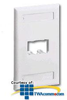 Panduit® Mini-Com Classic Series Faceplate with Label.. - CFPL2BLY - TelephoneStuff.com