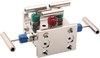 5030 Series 5-Valve Manifold -- 5030 - Image