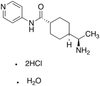 Y-27632 - 14194 - Medical Isotopes, Inc.