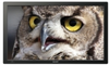 32-inch Professional LCD Monitor - PN-T321 - Visual Sound, Inc.
